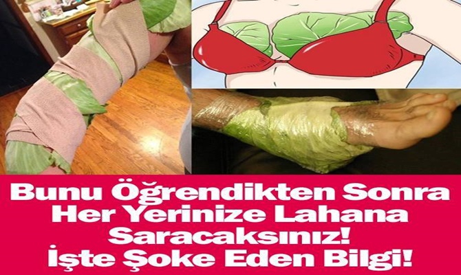Lahana yaprağında mucize var 1