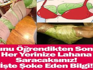Lahana yaprağında mucize var