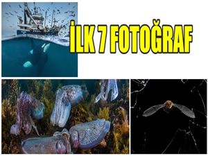 DOĞA FOTOĞRAFLARI YARIŞMASINDA İLK 7'YE GİREN KARELER