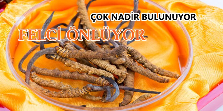 İŞTE BEYİN FELCİNİN ÇARESİ