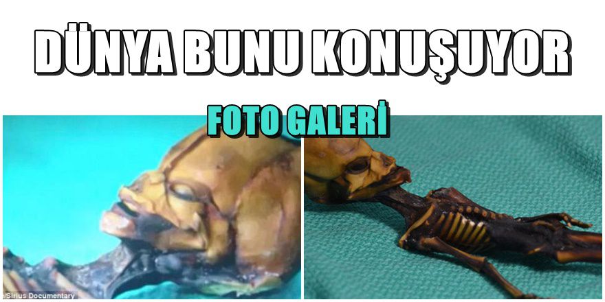Uzaylı iskeleti araştırmasında müthiş gelişme