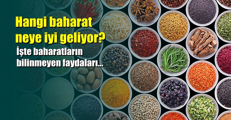 Hangi baharat neye iyi geliyor: İşte baharatların bilinmeyen faydaları 1