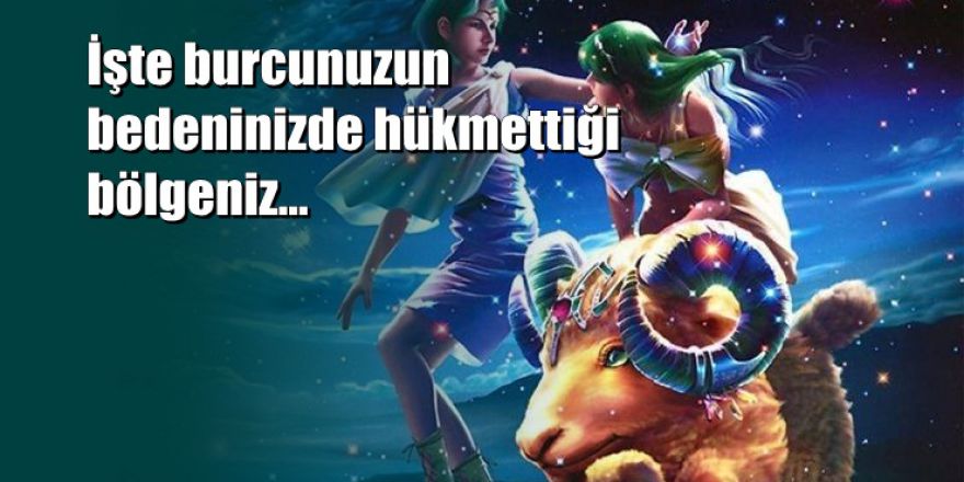 Burcunuzun Hükmettiği Beden Bölgeniz Neresi?