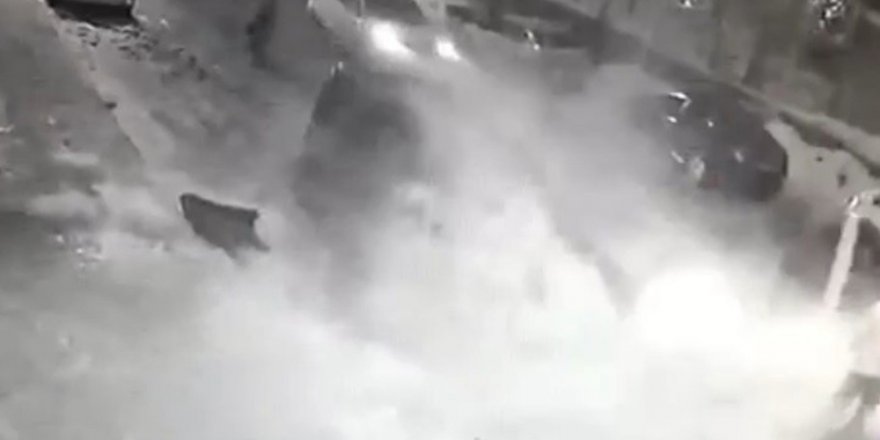 Kar Kütlesi Faciaya Neden Oluyordu
