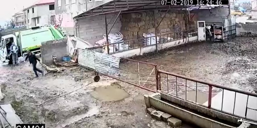 Isparta'da sahipli köpeğe belediye vahşeti