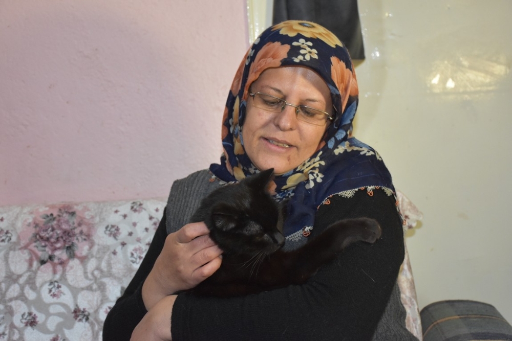 80 Kediye Annelik Yapıyor