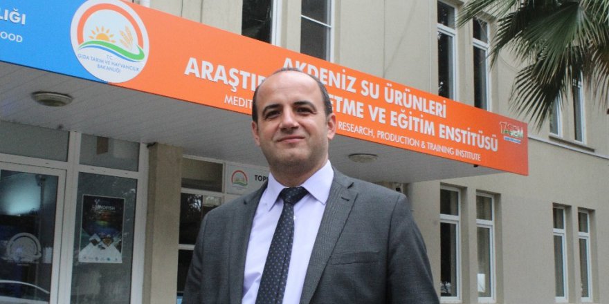 Türkiye’de İlk Kez Yılan Balığından Yapay Yolla Yavru Alındı