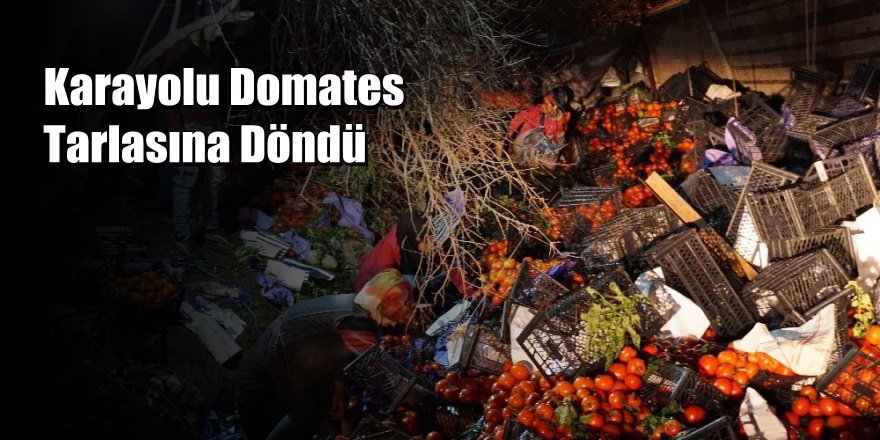 Antalya'da 25 Ton Domates Yüklü Tır Devrildi