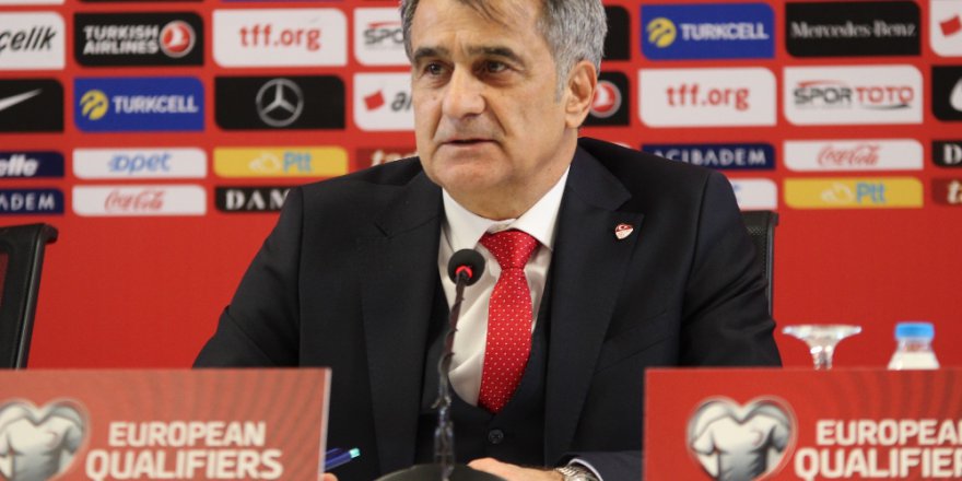 Şenol Güneş'ten Fransa Maçı Açıklaması