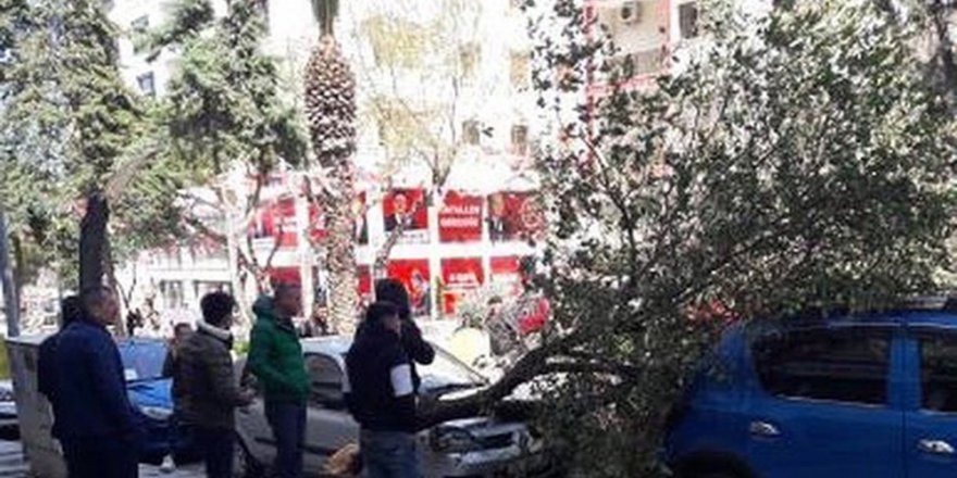 Fırtına İzmir'i Savaş Alanına Çevirdi