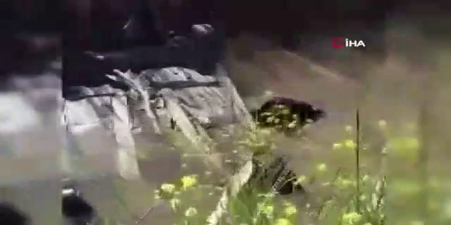 Şanlıurfa'da Kanala Uçan Araba Kamerada