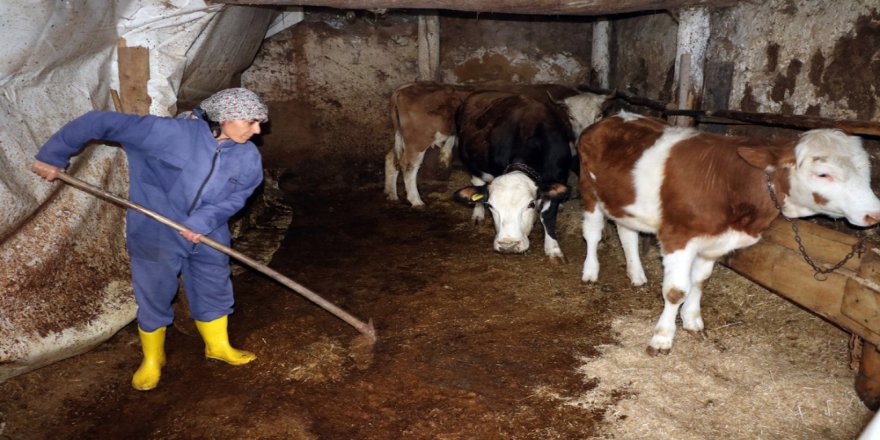 Yozgat Bu Muhtarı Konuşuyor