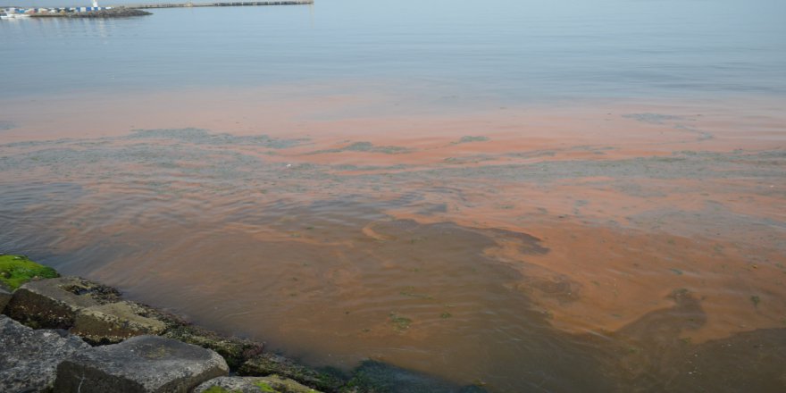 Tekirdağ'da Deniz Turuncuya Döndü