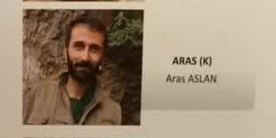 Aras Adlı Teröristin Yakalanmasına İlişiklin İlk Detaylar Ortaya Çıktı