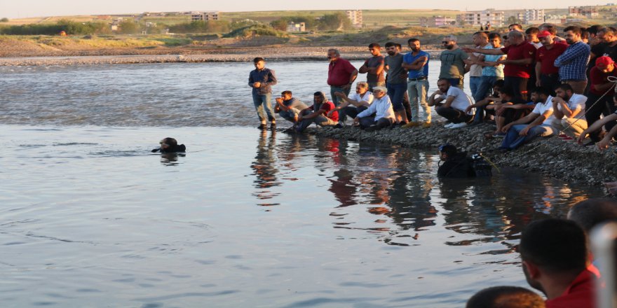 Diyarbakır'da Balık Avlama Faciası