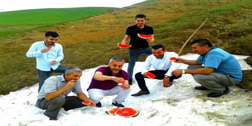 Haziran Ayında, Kara Gömüp Yediler