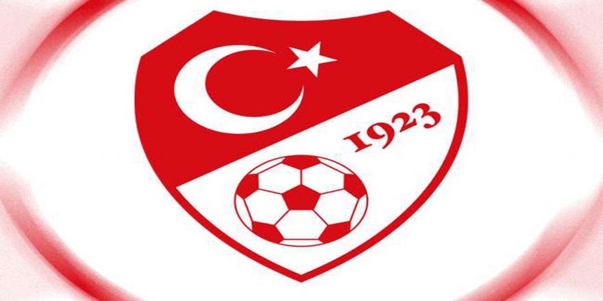 A Milli Futbol Takımı, Yurda Döndü
