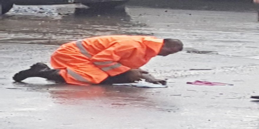 Kediyi Suni Teneffüsle Kurtardı