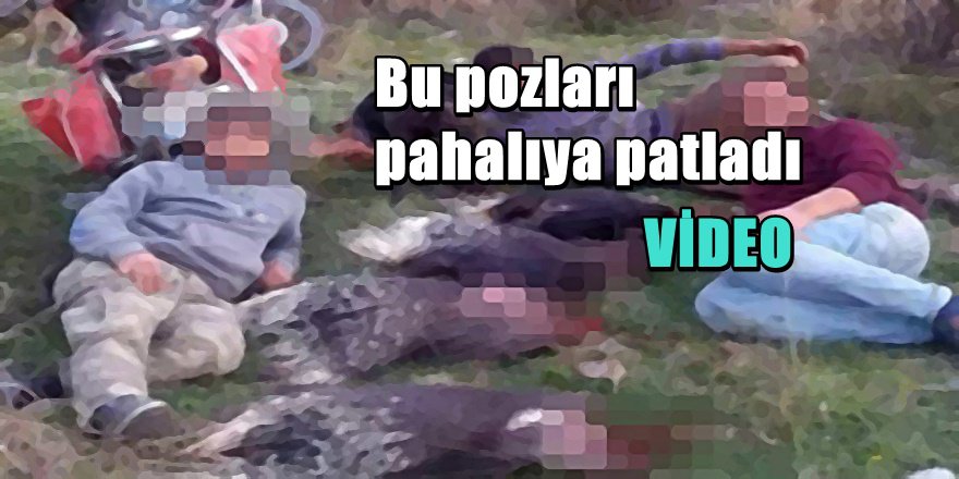 Hatay'da Oklu Kirpi Avı Dehşeti