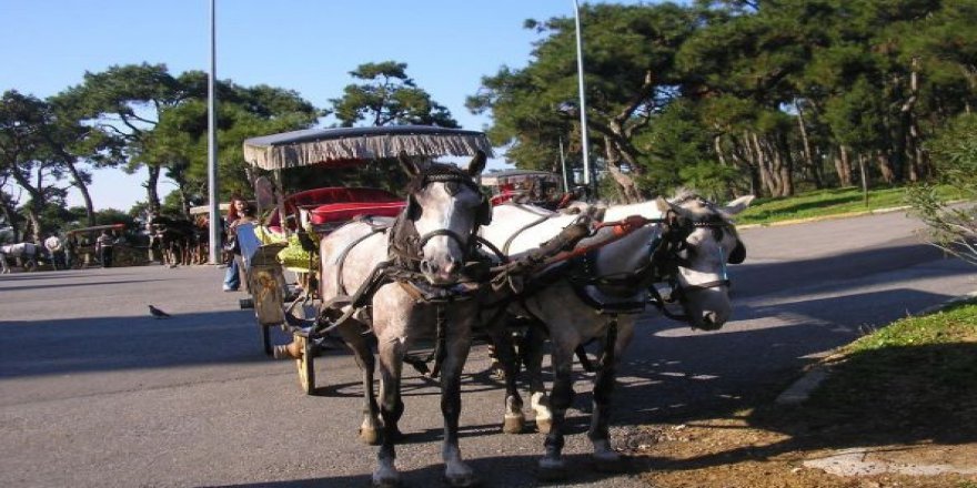 İzmir’in O İlçesinde Faytonların Kullanımı Yasaklandı
