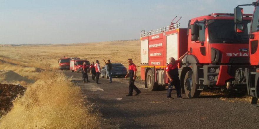 Mardin’de Çıkan Yangında 600 Dönümlük Alan Kül Oldu