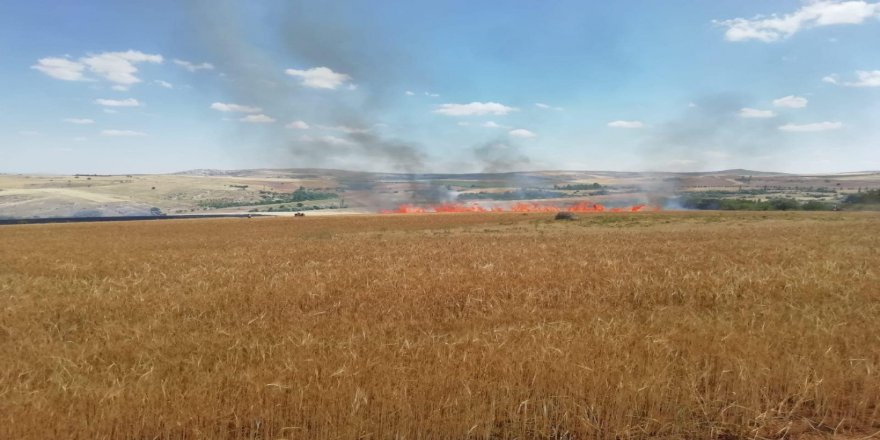 Aksaray’da 300 Dönüm Tarım Hububat Arazisi Yandı