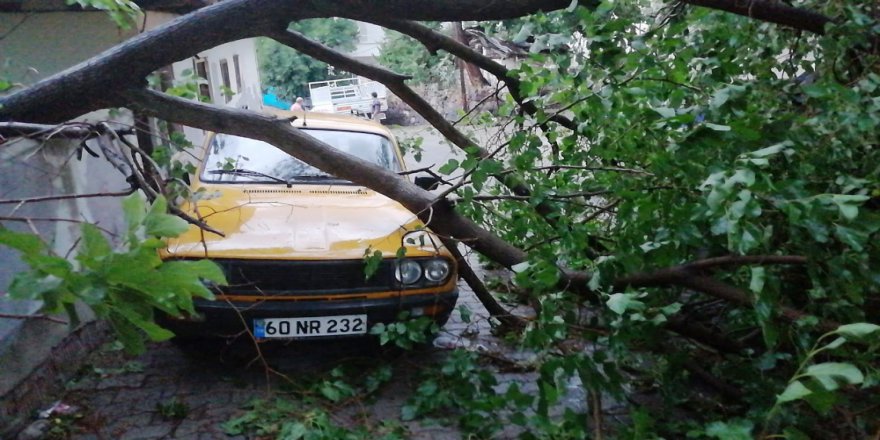 Tokat’ta Fırtına Çatıları Uçurdu, Ağaçları Devirdi