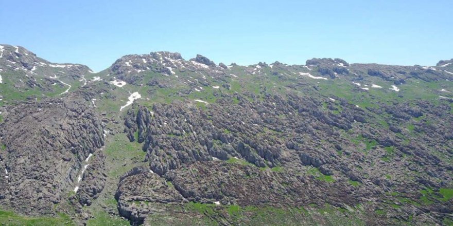 Pkk’lıların Tuzakladığı El Yapımı Patlayıcı İnfilak Etti: 1 Ölü, 2 Yaralı