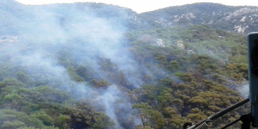 Milas’taki Yangında Soğutma Çalışmaları Devam Ediyor