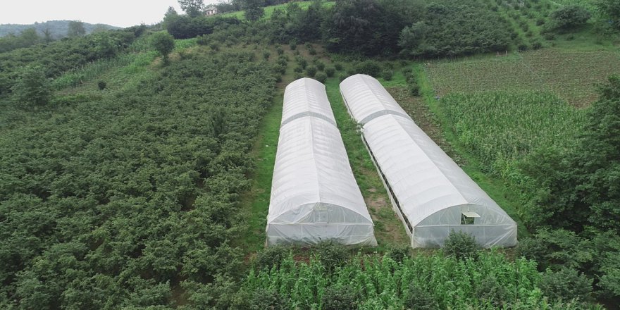 Karadeniz İnsanını Zorluklar Hiç Yıldırmıyor