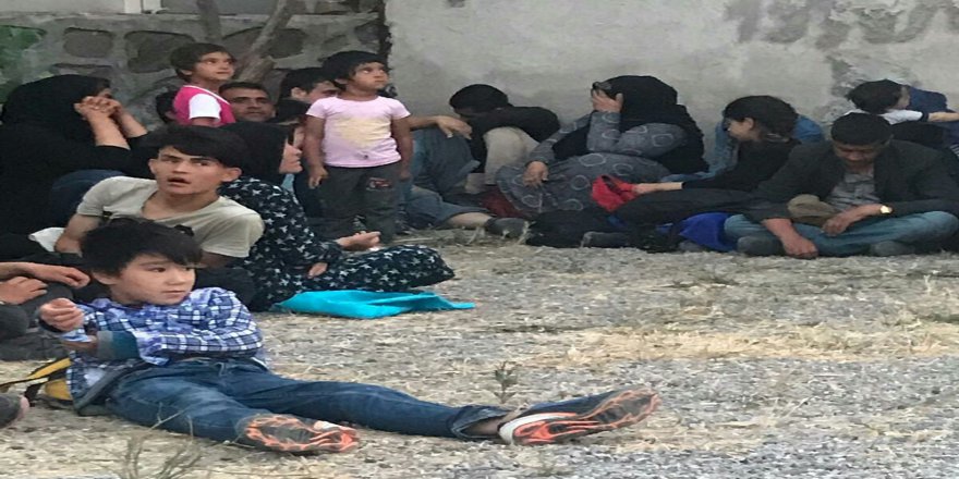 Ayvalık’ta 37 Mülteci Yakalandı