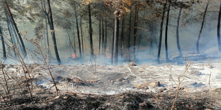 Kumluca’daki Orman Yangını Söndürüldü