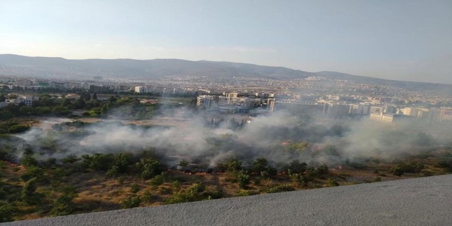 İzmir'de Feci Yangın 20 Araç Kül Oldu