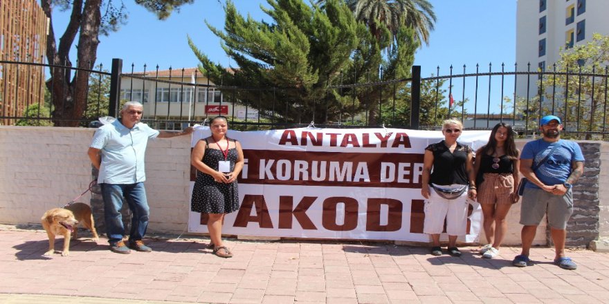 Antalya’da Hayvanseverlerden Mezarlık Talebi