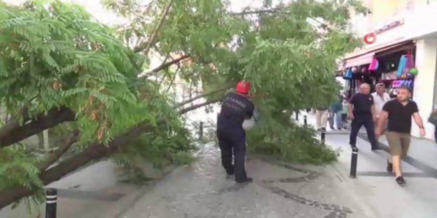 Silivri’de Yıkılan Ağaç Caddeyi Trafiğe Kapattı