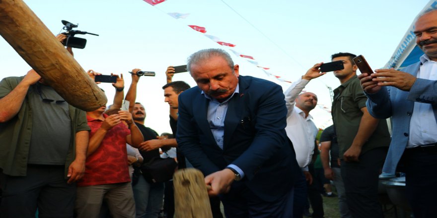 Tbmm Başkanı Şentop Tokmakla Buğday Dövdü