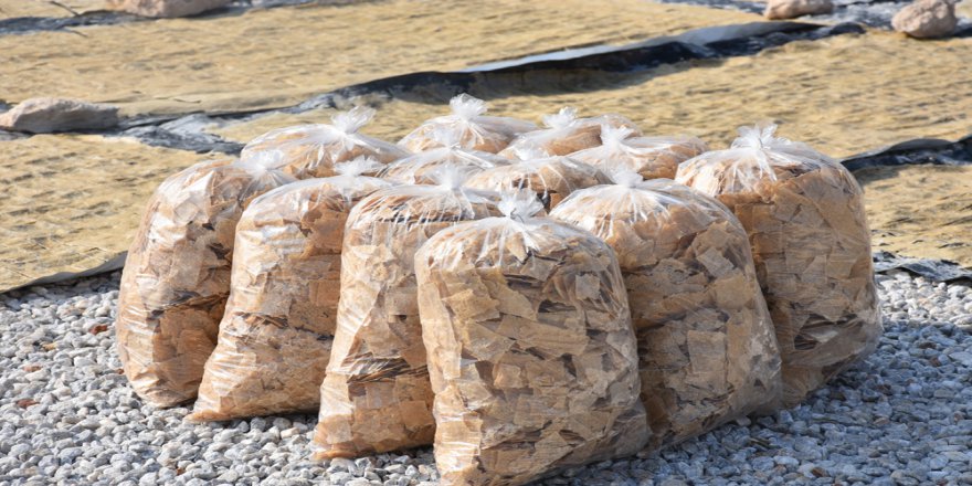 Anadolu’nun Meşhur Tarhanasından Cips