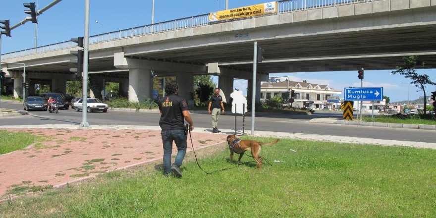 Takma Dişleri, Kayıp Adam İçin Umut Oldu