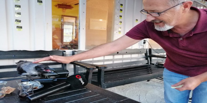 Karga İle Taksi Şoförlerinin Dostluğu Kamerada