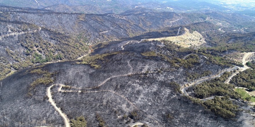 Thk, 45 Milyonluk Hizmet İçin 90 Milyon Teklif Verdi