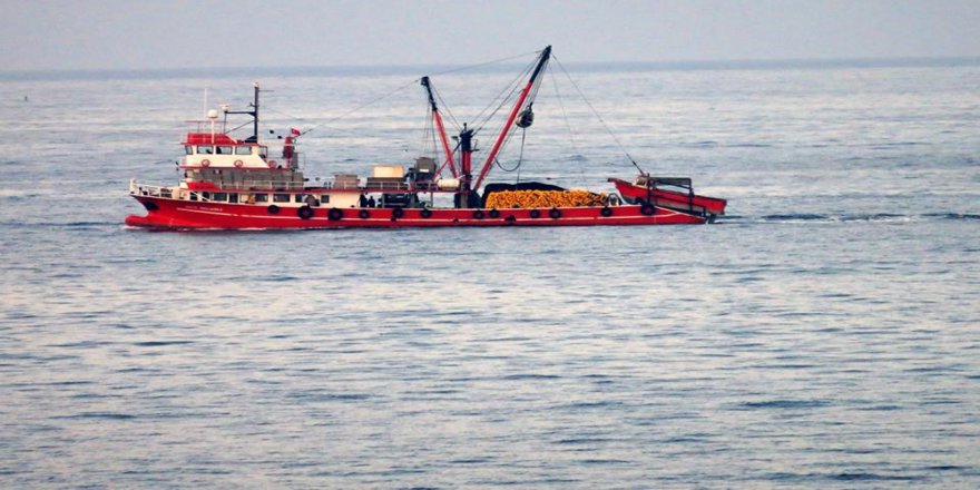 Balıkçılar Bu Sezon Çok Umutlu Değil