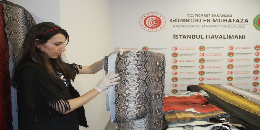 İstanbul Havalimanı’nda Ele Geçirilen Yılan Derilerinin Değeri 320 Bin Tl
