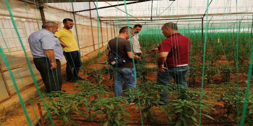 Kardeş İlçe Bafra Antalya’da
