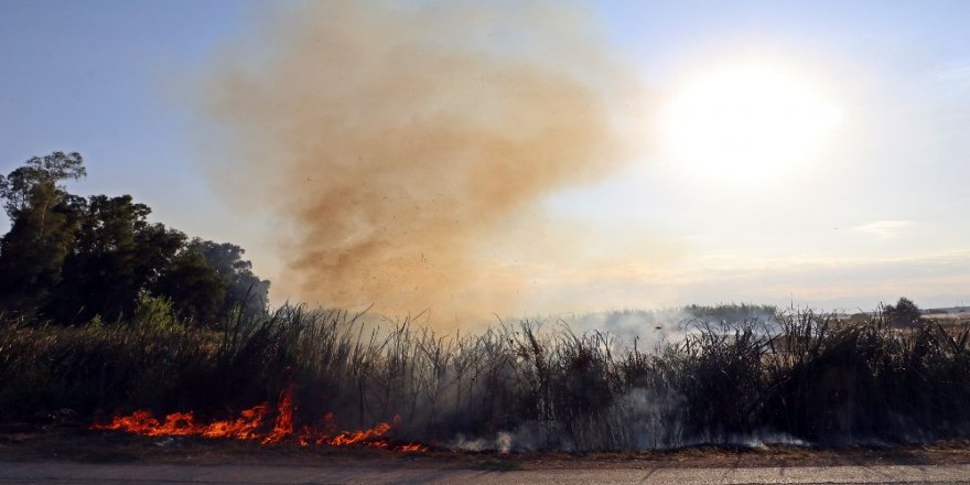 Antalya’da Seraları Tehdit Eden Sazlık Yangını Korkuttu