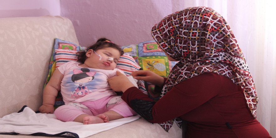 Elif Su İçin Soruşturma İznini Bekliyorlar