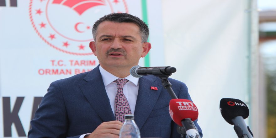 "Pancar Şekeri Satışında Yüzde 14 Artış Sağlandı"