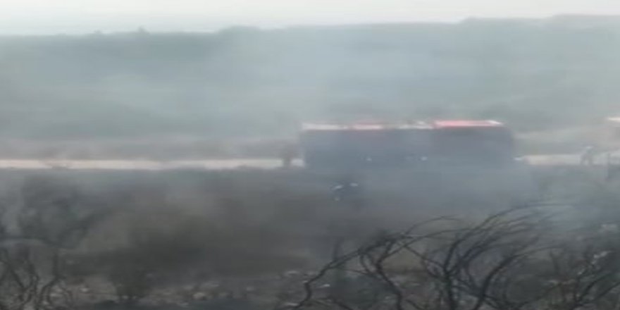 Samandağ’da Zeytinlik Alanda Yangın