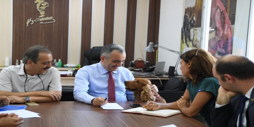 Başkan Esen, "Bu Yıl 345 Hayvanı Kısırlaştırdık"