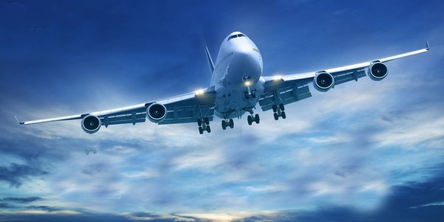 Japonya Tapah Tayfunu’na Teslim: 400 Uçuş İptal Edildi
