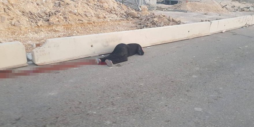 İsrail’in Katlettiği Filistinli Kadının Kimliği Ortaya Çıktı